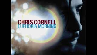 CHRIS CORNELL - Disappearing One (Subtitulada en Español)
