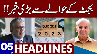 Big News About Budget | Dunya News Headlines 05:00 PM | 03 June 2023