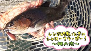 【槻の池】レンジが浅い時にシャロークラ・ピー【今井康仁】