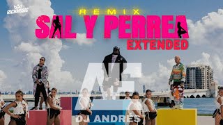 100 - Sal y Perrea REMIX (SECH - DADDY YANKEE - J Balvin) - (DJ Andres EXTENDED)