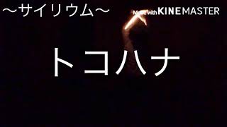 【ヲタ芸練習】　色々打ってみました。（ギルガメッシュ→烈剣→ゲイ・ボルグ改→ロマンス、航の紋章→航の紋章改→真航の紋章→摩耶改二）編集の魔術使って遊んでみた。動画三重、全部透明度いじってません。