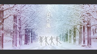 【カバー】白い風/ももいろクローバーZ【バンドアレンジ】