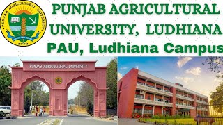 Punjab Agricultural University, Ludhiana || PAU, Ludhiana Campus Documentary | CET, MET, PET-20 Exam