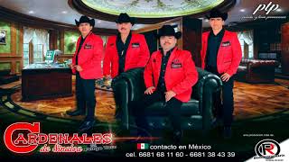 De Nuevamente - Los Cardenales De Sinaloa 2018