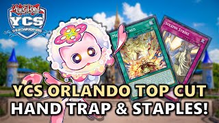 YCS Orlando Top Cut Most Played Hand Traps and Side Deck Staples! | Post SUDA | February 2025