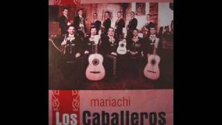 Mariachi Los Caballeros - Cancion del Mariachi