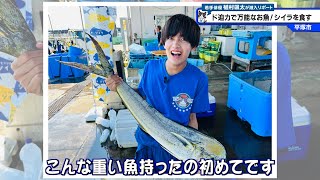 猫のひたいほどワイド #1272 リポート大賞・植村颯太「ド迫力で万能なお魚！シイラを食す」（平塚市）