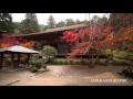 jg 4k 滋賀 湖東三山 金剛輪寺の紅葉 kongorinji