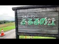 やくらいガーデンのひまわりは残念ながら終了の様子2021 8 11　tourist destinations in japan