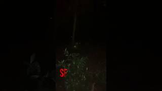TERRIFYING ENCOUNTER Captured on camera!? 😱 #scary #shorts #ghost