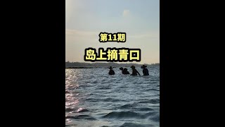 今天去島上摘青口摘到爆#趕海 #海鮮 @抖音小助手