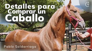 Que tener en cuenta para comprar un CABALLO 🐴 - Pablo Saldarriaga