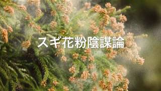 【閲覧注意】スギ花粉陰謀論【都市伝説】