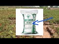 urea dap fertilizers what is numbers shows on dap urea fertilizer bags