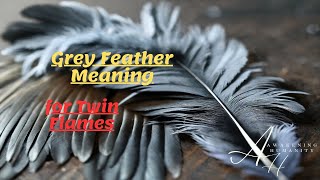 Grey Feather Meaning for Twin Flames