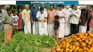 വിഷുവിന് വിഷരഹിത പച്ചക്കറിയുമായി പാലക്കാട് സി.പി.എം പ്രവർത്തകർ