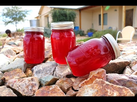 Prickly Pear Jelly - How to make Prickly Pear Jelly - How to make