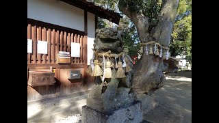 角刺神社（葛城市忍海）奈良の爺々