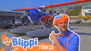 Blippi Deniz Uçağı Keşfediyor | Blippi Türkçe - Çocuklar için eğitici videolar | Türkçe Dublajlı