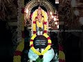 உலகம் முழுதும் உன் ஆட்சியே🙏 cherman arunachala swamy video 512 ஆதி அருணாசலம்