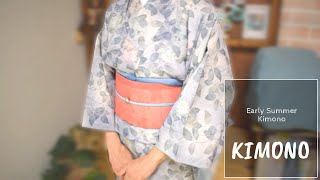 Unlined kimono | Early summer kimono | Gauze obi