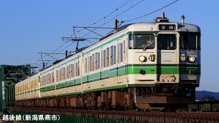 JR東日本 115系 二次新潟色 + 弥彦色 / 越後線