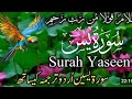 surah Yasin  | Quran tilawat |Episode 00711 | Daily quran tilawat .surah Yaseen.surah Rahman surah