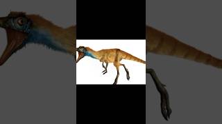 compsognathus. Un tierno dinosaurio del tamaño de un pollo 🐔😍