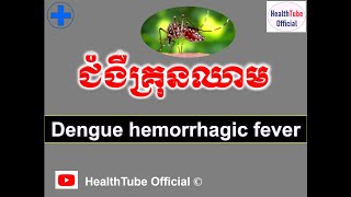 ជំងឺ គ្រុនឈាម/ Dengue hemorrhagic fever l HealthTube Official