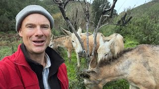 Moments with Happy-Donkeys in Nature