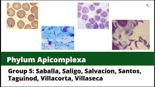 Group 5 Apicomplexa: Plasmodium and Toxoplasma