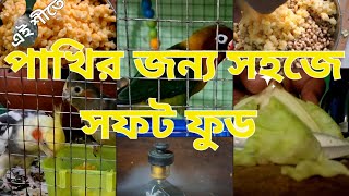 Soft food for birds।Soft food for budjies 2025। সহজে পাখির সফট ফুড। cocktail pakhir soft food winter