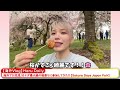 【90秒でわかる！】おすすめ旅行動画　三崎優太 青汁王子　ykk 海外のリアルを学べるチャンネル　【海外vlog】haru daily　2023 04 28