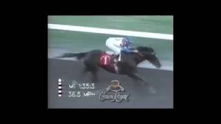 Donn Handicap  -G1- 1996 - Cigar