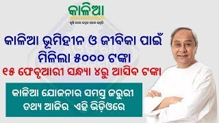 Kalia Yojana Credit Rs 5000 On Landless Farmers Bank Account√Important update Kalia farmers