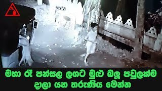 මහා රෑ පන්සල ලගට මුළු බලු පවුලක්ම දාලා යන තරුණිය මෙන්න - CCTV