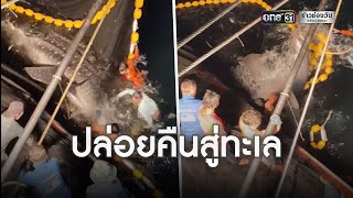 แห่ชื่นชนม ชาวประมงปล่อยฉลามยักษ์ 2 ตัว | ข่าวช่องวัน | one31