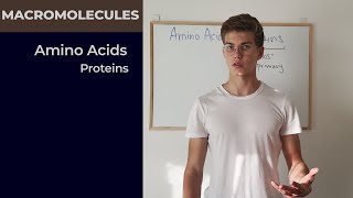 Amino Acids and Proteins | Structure | Non-Polar, Polar and Charged Side Chains | Biochemistry