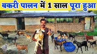 10 बकरी पालन में 1 साल का सफर कैसा रहा | Desi goat farming in bihar | Bakri palan