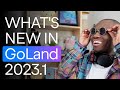 What's New in GoLand 2023.1