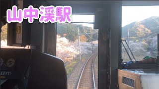 山中渓駅桜