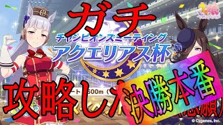 【ウマ娘】アクエリアス杯ガチ攻略(したい)班の決勝配信！！【初見さん歓迎】