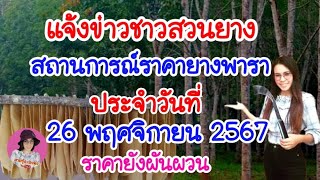 แจ้งข่าวชาวสวนยางราคายางพาราประจำวันที่ 26 พฤศจิกายน 2567