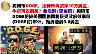 狗狗币DOGE，比特币再次冲10万美金，牛市再次到来？会涨到1美金吗？马斯克表示，狗狗币DOGE将被美国国税局将接受政府效率部(DOGE)的审计，短线涨到0.6美金#DOGE币#马斯克狗狗币#DOGE