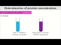 biochemistry determination of protein concentration biuret method