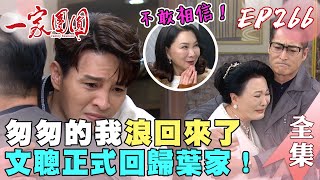 一家團圓 EP266 不敢相信！花花的聰浪回來了！文聰正式回歸葉家｜Family Reunion｜完整版｜【萬士益冷氣】