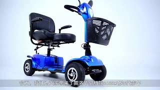 🍀  EZRide-Z Personal Mobility Assistance LTA Approved Four-wheeled Electric Lithium Battery Car 🍀