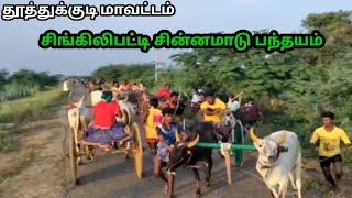 3/01/2022 சிங்கிலிபட்டி சின்னமாடு பந்தயம் small click