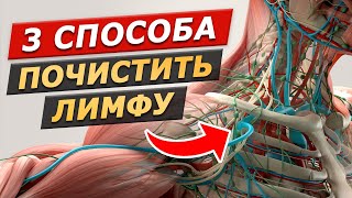 Разгоняйте лимфу каждый день! Лимфодренажная зарядка за 5 минут