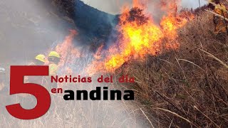 Las 5 del día: oficializan declaratoria de emergencia por incendios forestales